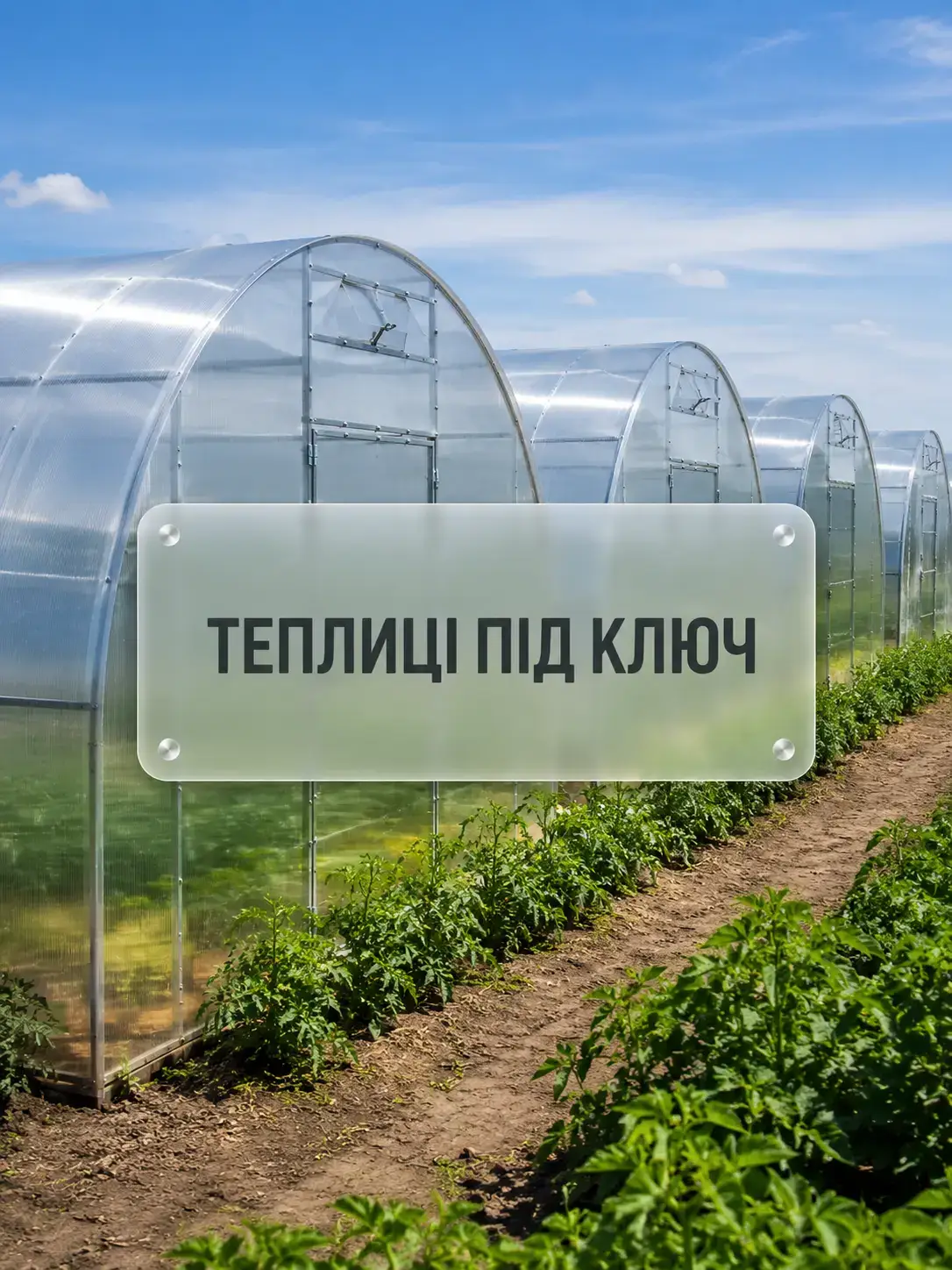 Теплиці під ключ — реклама