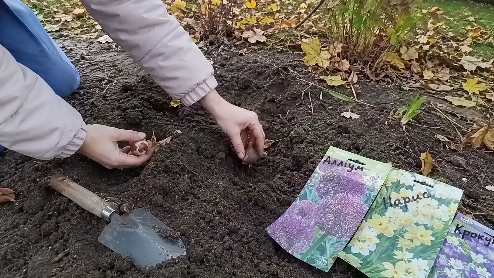Садівництво