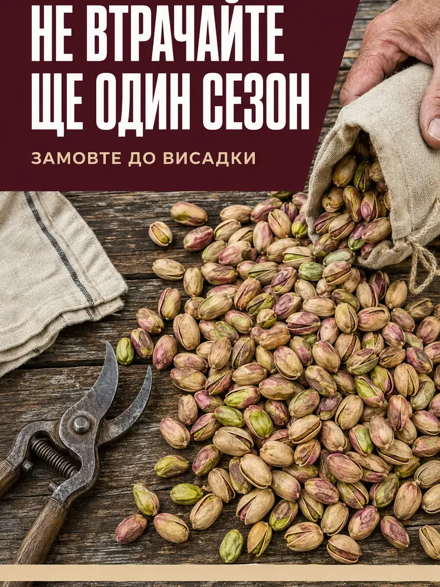 Рекламний банер: сезон посадки минає