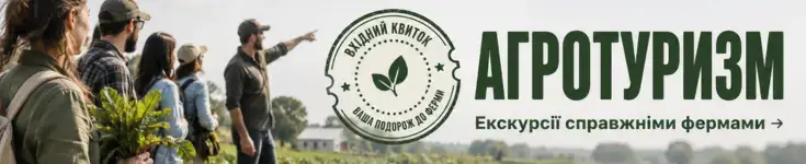 Фото: часник на полі (реклама)